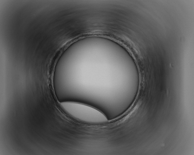 X0000088221449200705151019