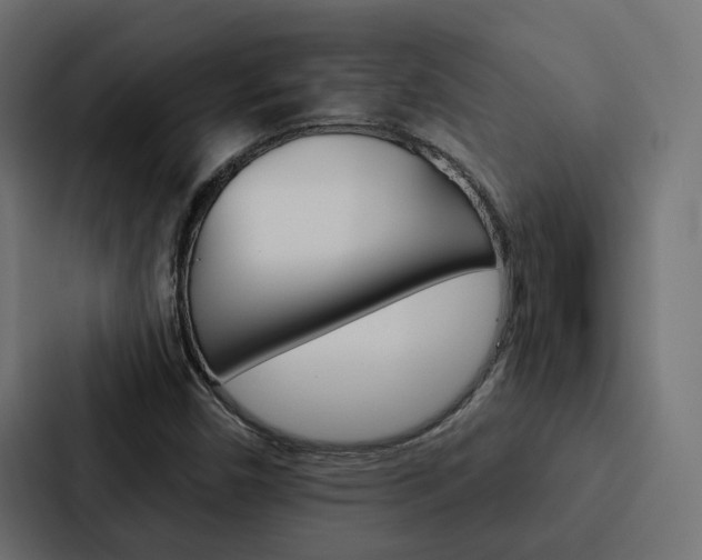 X0000088221450200705151019