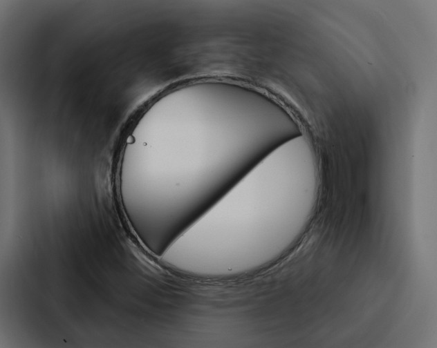 X0000088221452200705151019