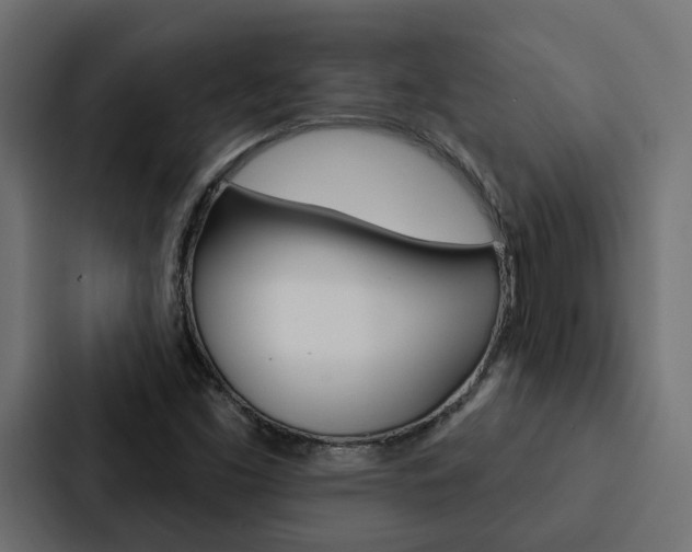 X0000088221453200705151019