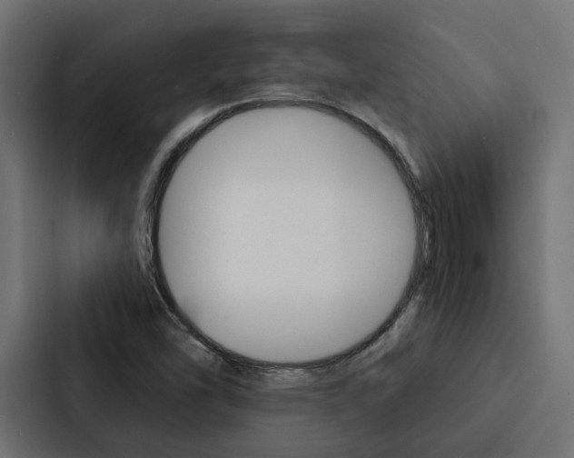 X0000088221454200705151019