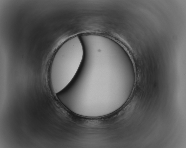 X0000088221455200705151019