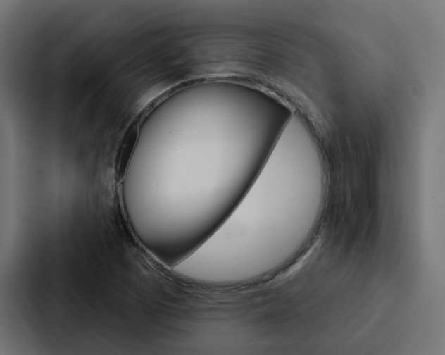 X0000088221457200705151019