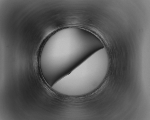 X0000088221458200705151019