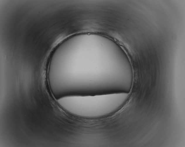 X0000088221459200705151019