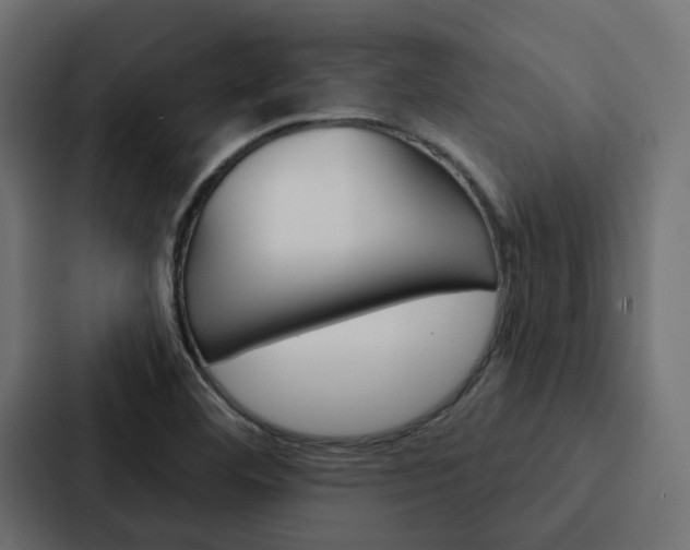 X0000088221460200705151019
