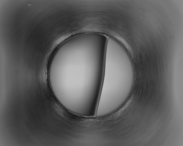 X0000088221461200705151019