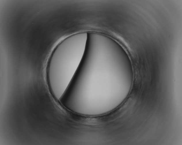 X0000088221463200705151019