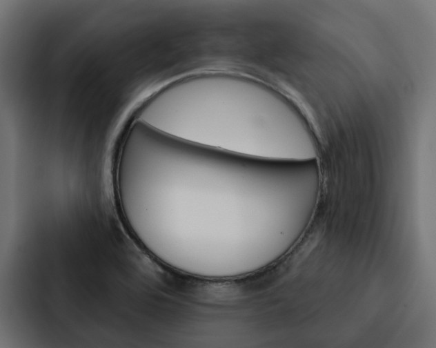 X0000088221464200705151019