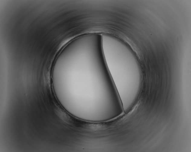 X0000088221465200705151019