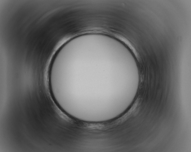X0000088221466200705151019