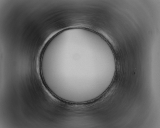 X0000088221468200705151019
