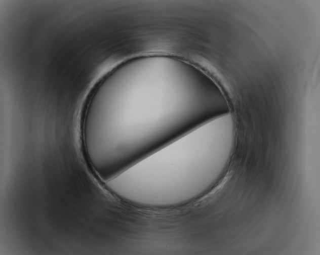 X0000088221469200705151019