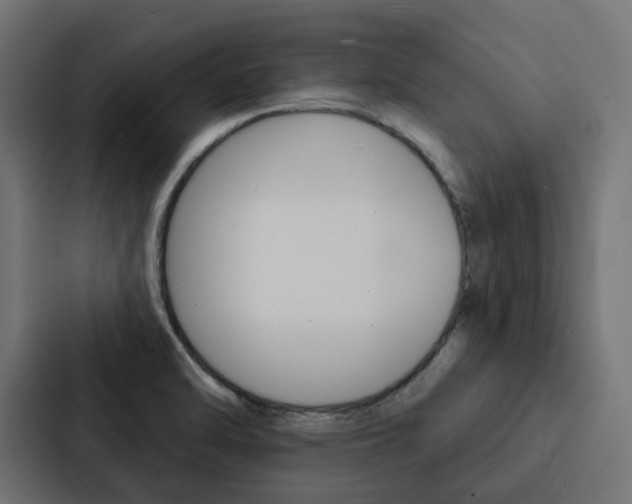 X0000088221470200705151019