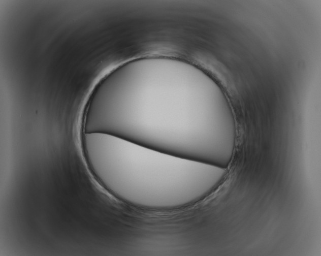 X0000088221471200705151019