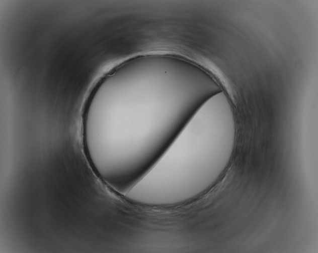 X0000088221472200705151019