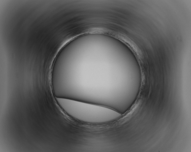 X0000088221473200705151019