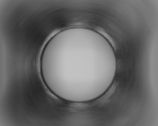 X0000088221474200705151019
