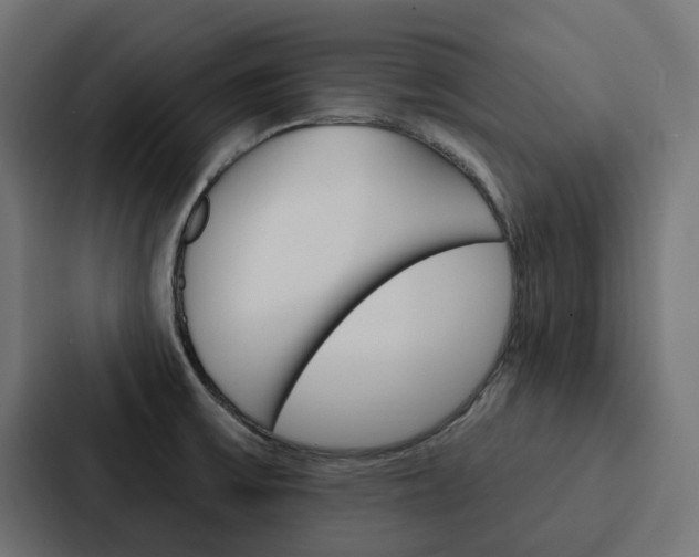 X0000088221475200705151019