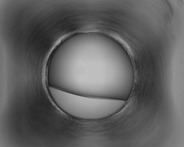 X0000088221477200705151019