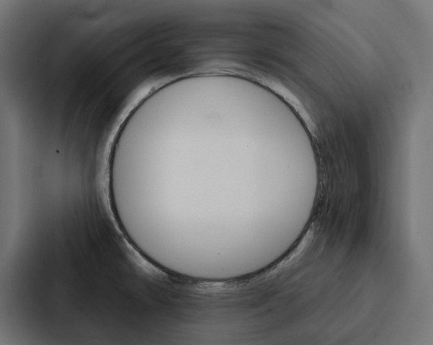 X0000088221478200705151019