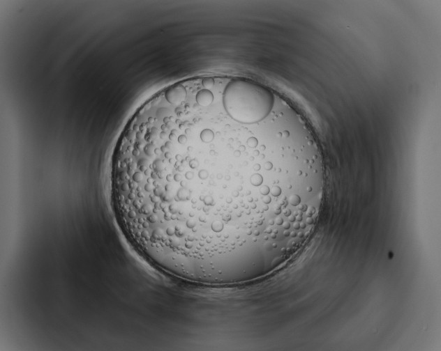 X0000088221479200705151019