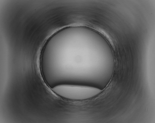 X0000088221480200705151019