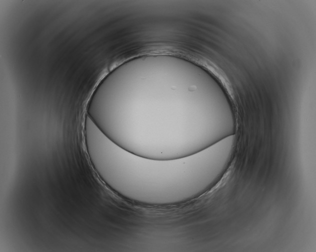 X0000088221481200705151019