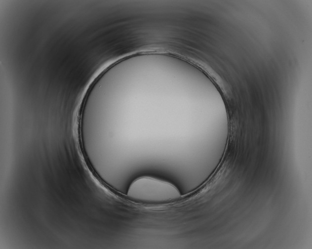 X0000088221484200705151019