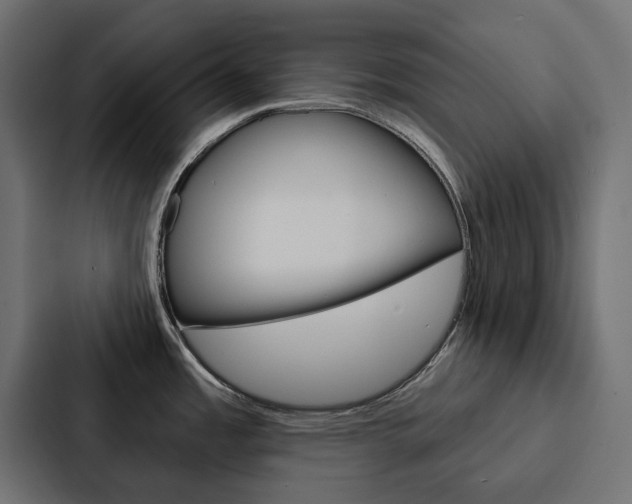 X0000088221485200705151019