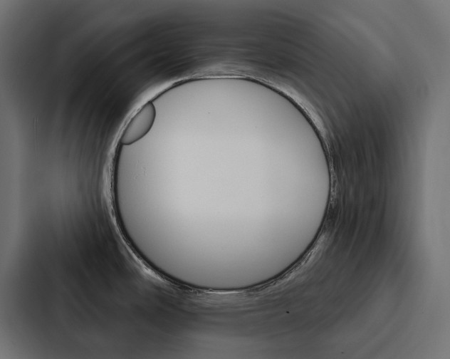 X0000088221486200705151019
