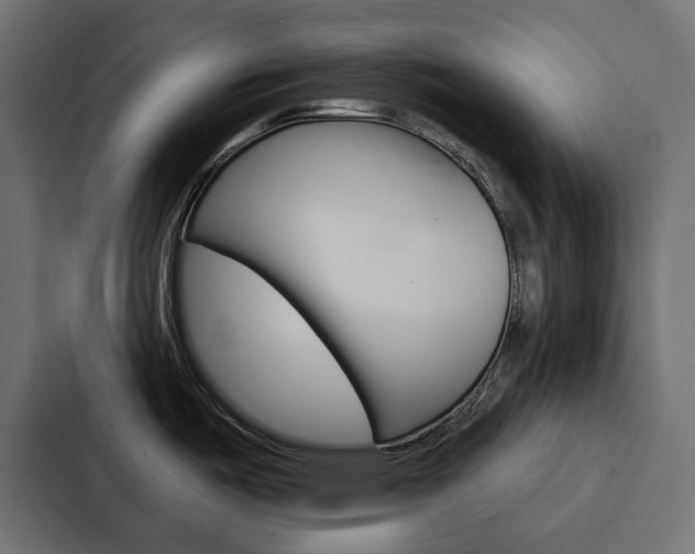 X0000088221487200705151019