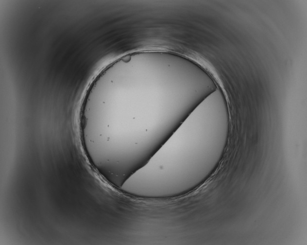 X0000088221488200705151019
