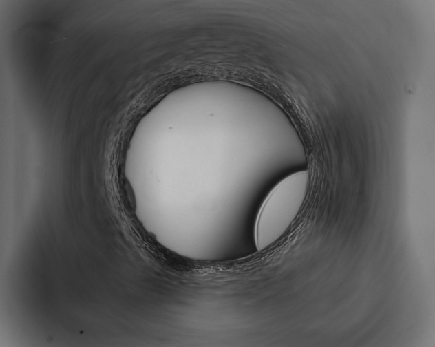 X0000088221489200705151018