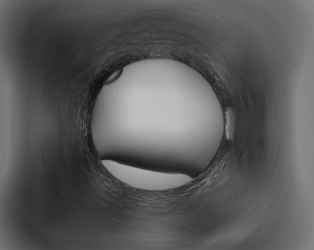 X0000088221491200705151018