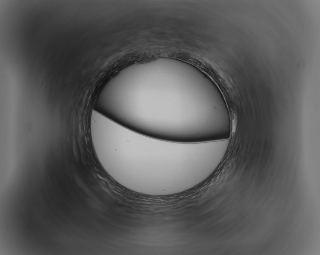 X0000088221492200705151018