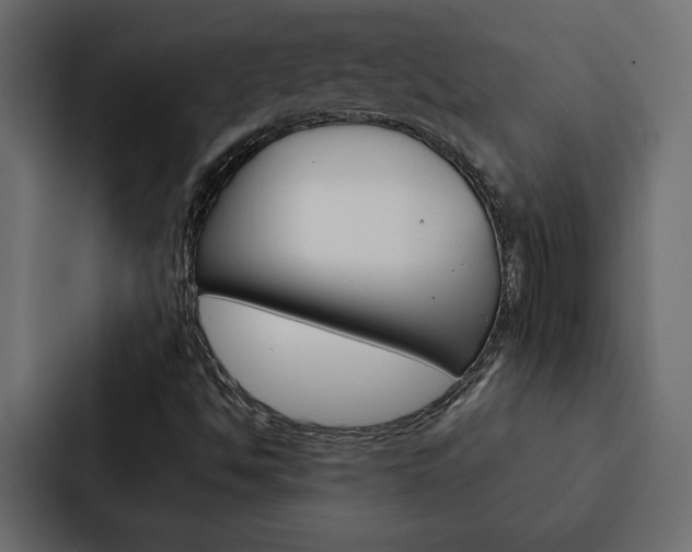 X0000088221494200705151018