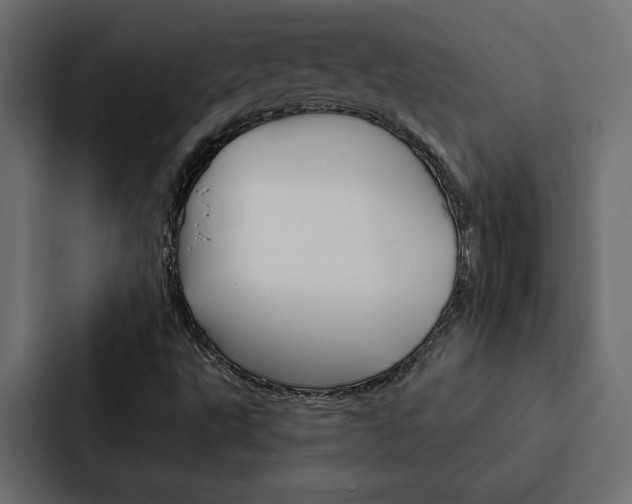 X0000088221495200705151018