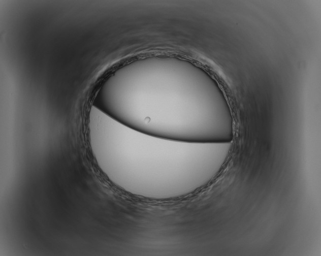 X0000088221496200705151018