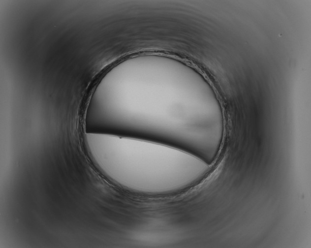 X0000088221497200705151018