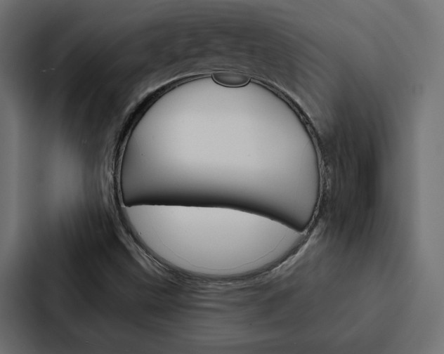 X0000088221499200705151018