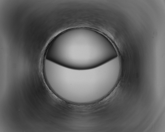 X0000088221500200705151018