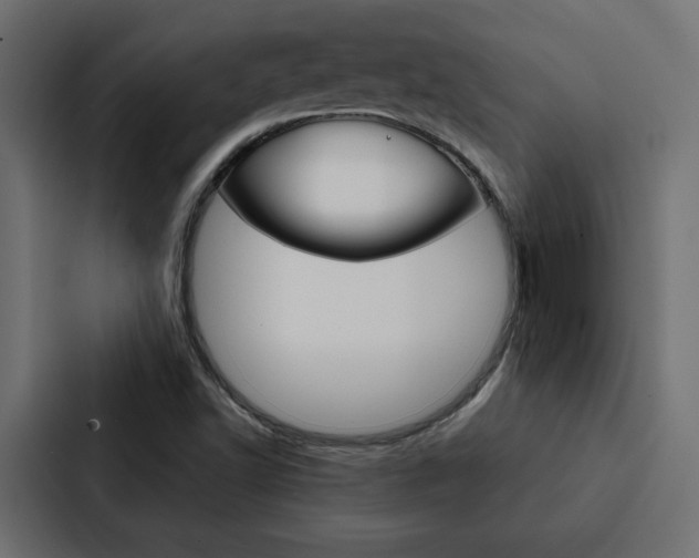 X0000088221502200705151018