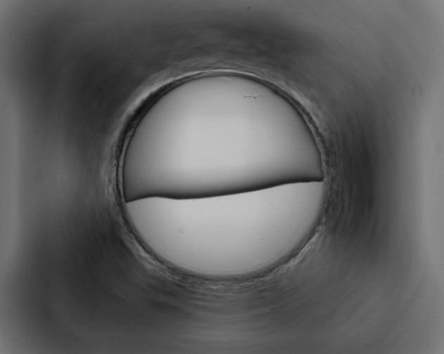 X0000088221503200705151018