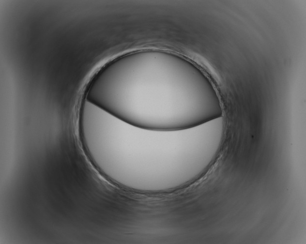 X0000088221504200705151018
