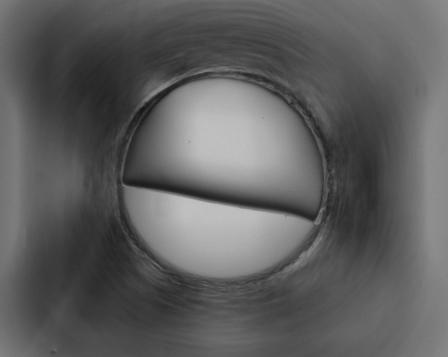 X0000088221505200705151018