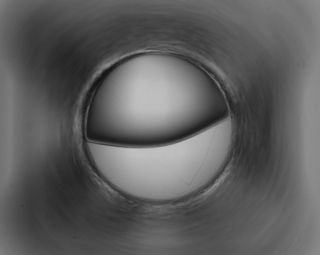 X0000088221506200705151018