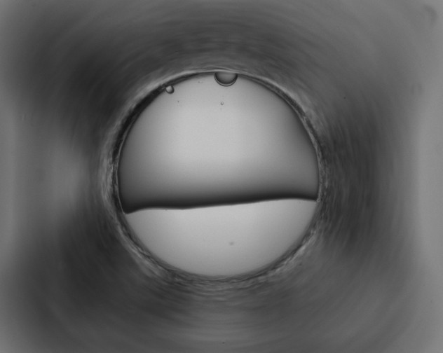 X0000088221507200705151018