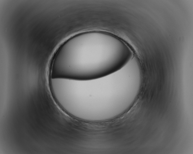 X0000088221508200705151018