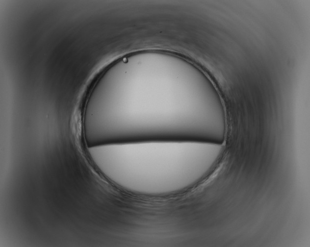 X0000088221509200705151019